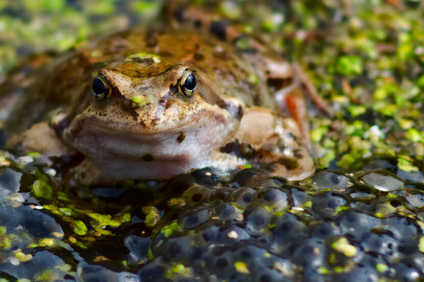 Three Poems by Austin Metze