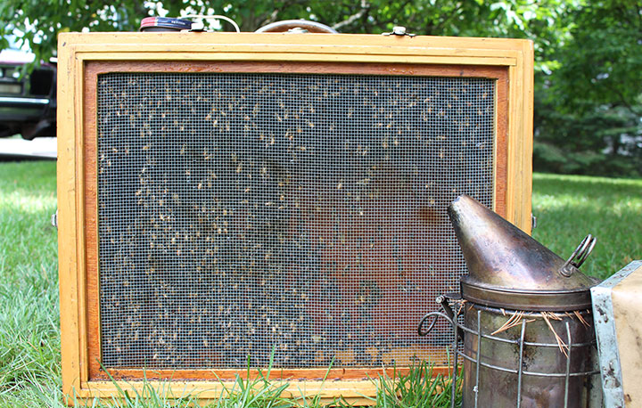 screen with bees and smoker