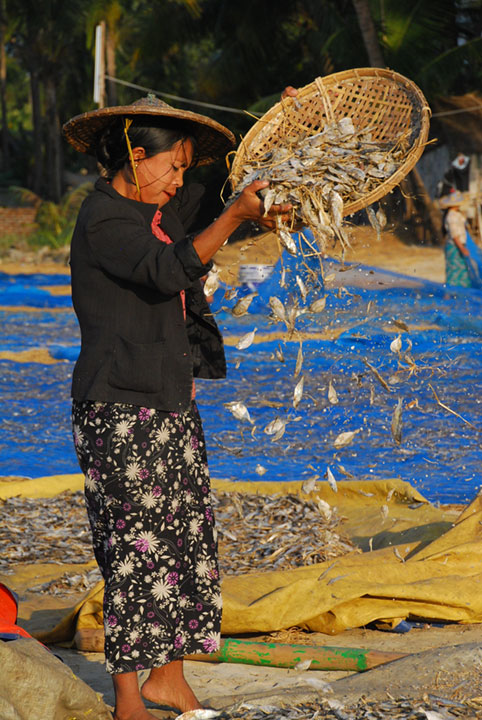 woman sifts fish from a basket