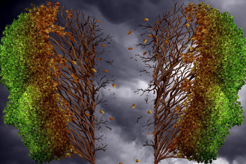 Crying for Water City by Amy Stonestrom