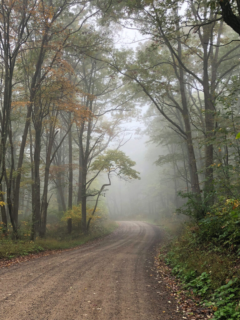Photograph by Chris Luis titled "Nature's Mystery" that shows a dirt road leading into the woods on a foggy morning in early autumn.