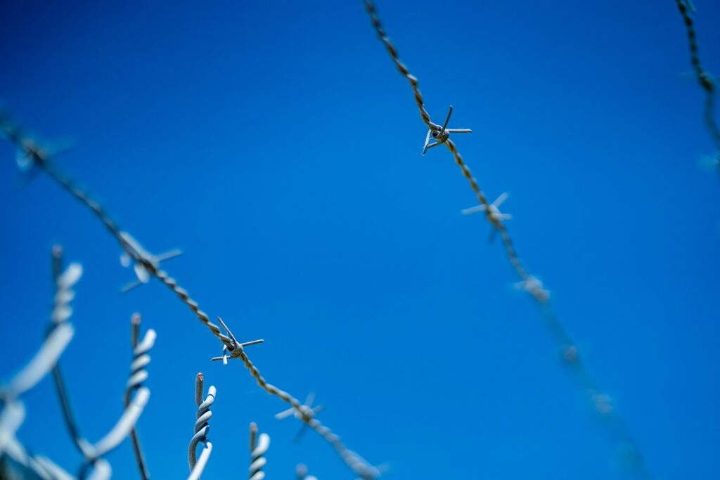 Photo of barbed wire against a blue sky.