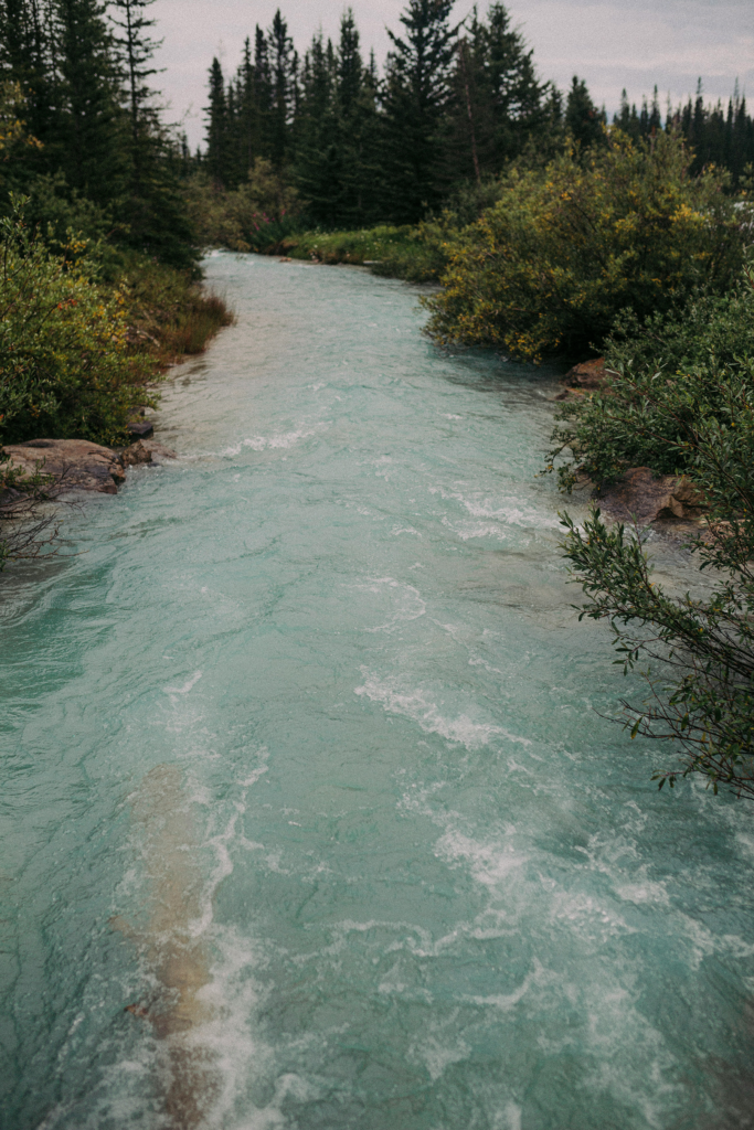 A river running through a northern forest.